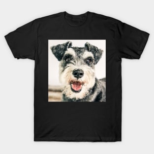 Painting-like Schnauzer looking at you T-Shirt